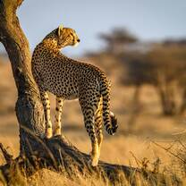 Volunteer in Namibia