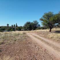 Farm landscape