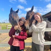 Participants engaging with Scottish equine trainers, discussing training techniques and horse behavior.