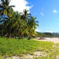Study in Playa Samara