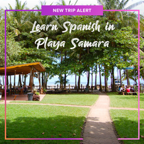 Study in Playa Samara