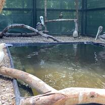 Aces seabird rehabilitation aviary 