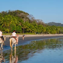 Study in Playa Samara