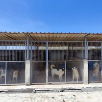 One of the shelter sectors
