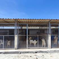 One of the shelter sectors