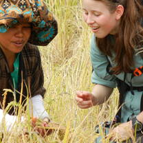 Cambodia: Peace-Building and Conservation