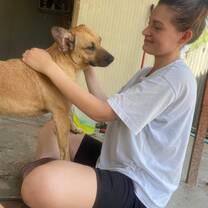 Volunteer play with dog