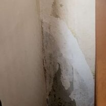 Mold in apartment