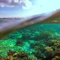 Indonesia Semester: Conservation & Culture in the World's Largest Archipelago