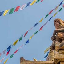 Nepal: Traditions of the Himalayas