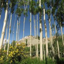 Indian Himalayas: Roof of the World