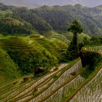 China Semester: South of the Clouds