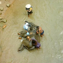 Thailand Summer: Sustainability and Spirituality in the Land of Smiles