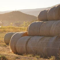 Haystack at farm
