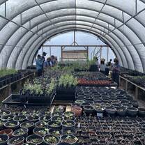 Greenhouse on farm