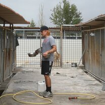 Volunteer clean bowls and change water