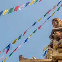 Nepal: Traditions of the Himalayas