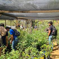 plant nursery