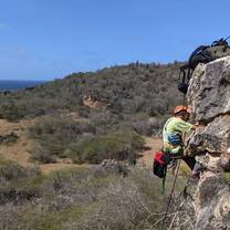climbing
