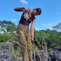 data collection