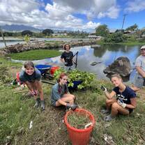 Fish Pond Restoration