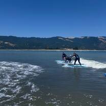 Surfing