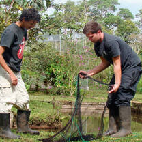 Volunteer work