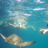 snorkelling