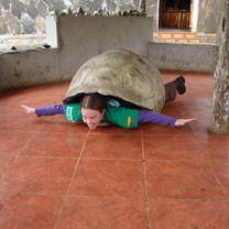 Giant turtle