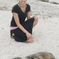 baby sea lion