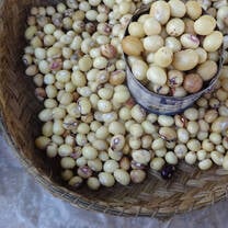 White beans in a woven basket