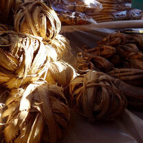 Various medicinal plants on a table