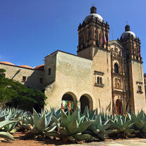 A shot of a church surrounded by aloe plants  