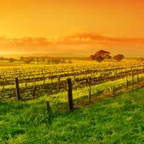 Gap Year Travel and Backpacking in Australia with U.Trips
