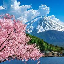 Mount Fuji