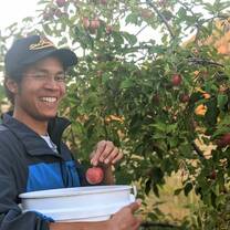 Person smiling and picking apples. 