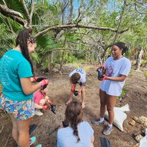 Students on reforestation