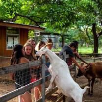 Farm visit