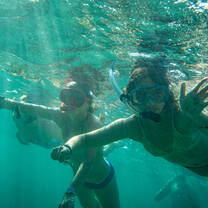 Snorkel
