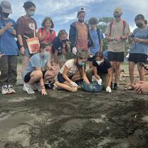 Students on beach clearing room for turtles