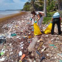 Beach cleanup