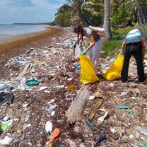 Beach cleanup