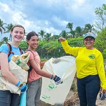 Beach cleanup