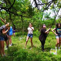 Reforestation projects