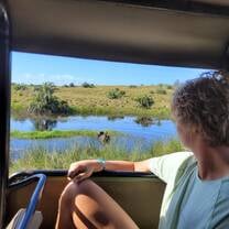 On safari