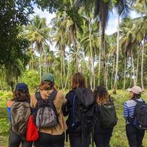 Teenagers in jungle