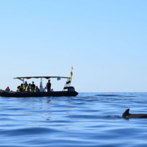 Boat in ocean