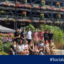 Social Activities