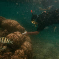 Coral watch with the kids of Perhentian island with PEEP