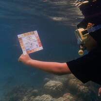 Help the kids of Perhentian assess the corals for signs of coral bleaching
